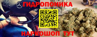 скорость Донской